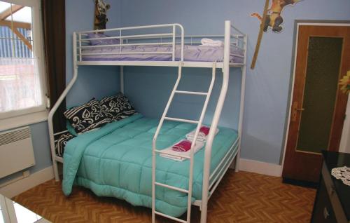a bunk bed with a bunk ladder next to a bed at Pet Friendly Home In Houlle With Kitchen in Houlle