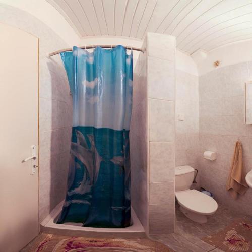 a bathroom with a toilet and a blue shower curtain at Motel pod Stromíšom in Vlachovo