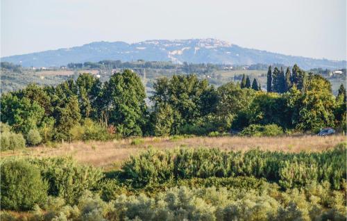 a field with bushes and trees in the background at Villa Martelli in Capannoli