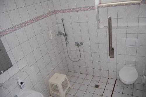 a bathroom with a toilet and a shower stall at Hotel Jahnke in Neubrandenburg