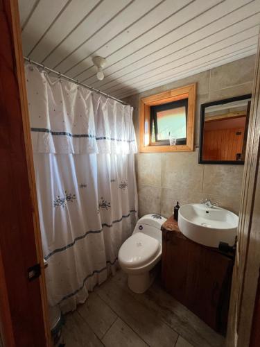 a bathroom with a toilet and a sink at CABAÑAS BOSQUE NEVADO in Malalcahuello