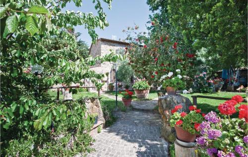 Il Cispo – Photos 2