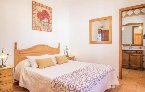 a bedroom with a large bed and a mirror at Stunning Home In Iznájar With Wifi in Iznájar