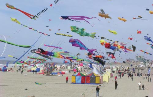 a group of people on a beach flying kites at Holiday Home Rue Du Dessous N-861 in Maninghem