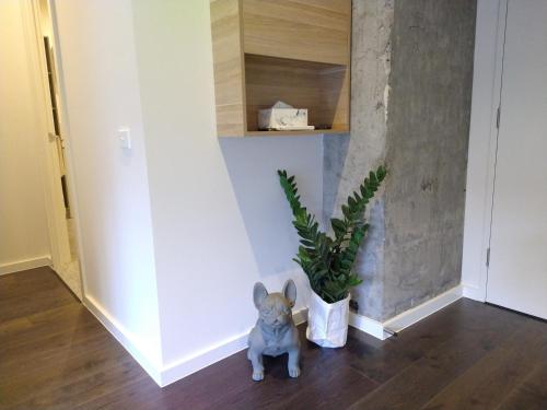 un perro sentado en un pasillo con una planta en Brand New Spacious Woden Apartment - KingBed&WiFi, en Phillip