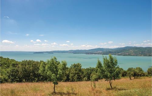 Folaga – Photos 2