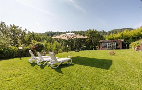 grupa krzeseł i parasol na trawniku w obiekcie La Querciola w mieście Monte Castelli