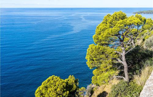 a view of the ocean from a hill with a tree at Casa Grecale in Acciaroli