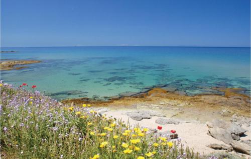 a field of flowers next to the ocean at Awesome Apartment In Costa Rei -Ca- With Wifi in Monte Nai