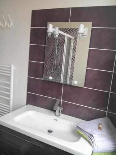 a bathroom with a sink and a mirror at Les Chambres du Faubourg in Montrichard