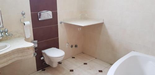 een badkamer met een toilet en een wastafel bij Peace & Freedom Guesthouse & Restaurant in Luxor