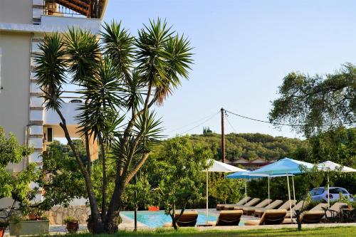 a palm tree next to a swimming pool with lounge chairs at Villa Apollo in Parga