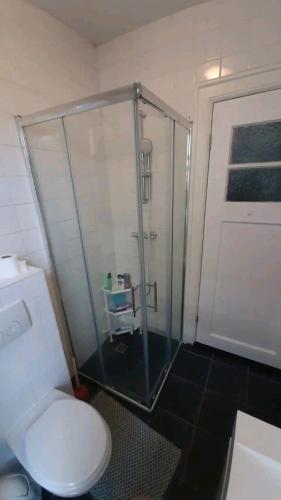 a bathroom with a toilet and a glass shower at NICOLE, not for parties, not a hotel, room with shared bathroom, no kitchen in Amsterdam