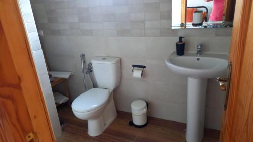 een badkamer met een toilet en een wastafel bij Orange House in Vallehermoso