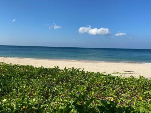a beach with a field of plants and the ocean at Lanta smile inn in Ko Lanta