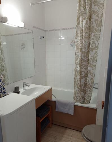 une salle de bain avec un lavabo et un rideau de douche dans l'établissement Studio 