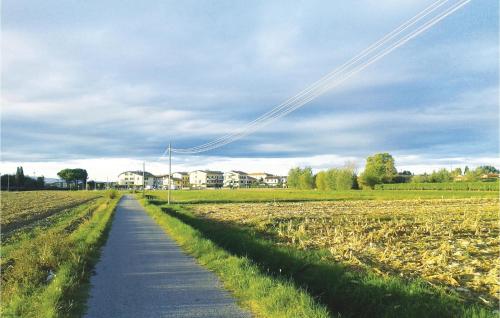 a path in the middle of a field at Il Kiwi in San Giovanni Alla Vena