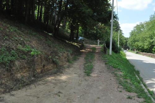 a dirt road next to a hill with trees at Apartments Borove Noci in Vrdnik