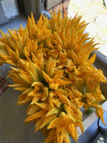 a large yellow flower sitting on top of a table at Hôtel Fleur des Alpes in La Brigue