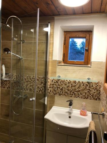 La salle de bains est pourvue d'un lavabo et d'une douche. dans l'établissement Chata se zahradou, à Týnec nad Labem