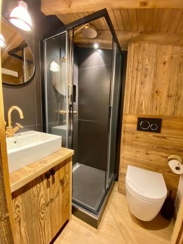 une salle de bain avec une douche, des toilettes et un lavabo dans l'établissement Superb apartment with 5 rooms in Mont d'Arbois, à Megève