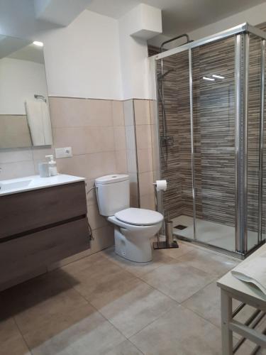 a bathroom with a toilet and a shower and a sink at Casa de la Parra in Mogarraz