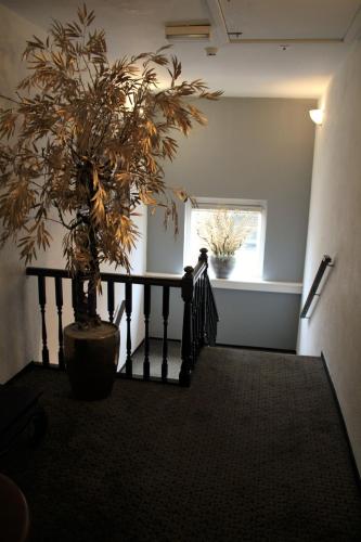 Hotel Restaurant de Jonge Heertjes – Photos 2