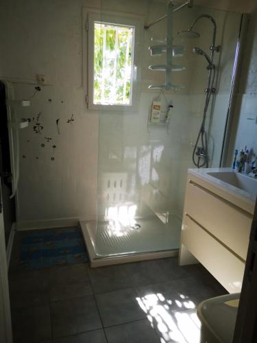een badkamer met een douche en een wastafel bij Maison de village avec jardin privatif in Zicavo