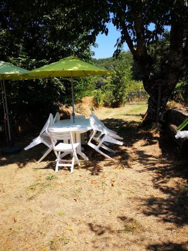 une table et des chaises avec un parasol vert dans l'établissement Maison de village avec jardin privatif, à Zicavo