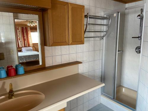 a bathroom with a shower and a sink and a mirror at Reiterhof Familie Laubichler in Schladming