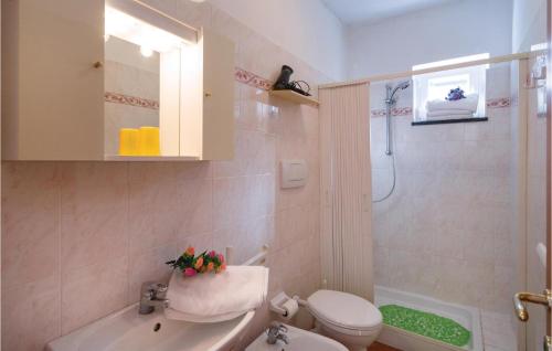 ein Bad mit einem Waschbecken, einem WC und einer Dusche in der Unterkunft Pian Dellaia 1 in Bracco
