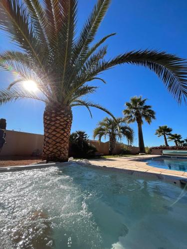 a palm tree sitting next to a swimming pool at Gîte les palmiers in Roquebrune-sur-Argens