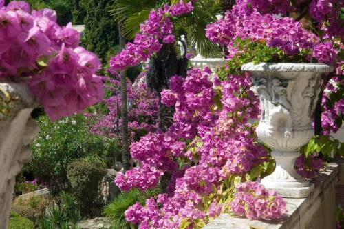 two white urns filled with purple flowers at Park Hotel Ville Montefiori in Gardone Riviera