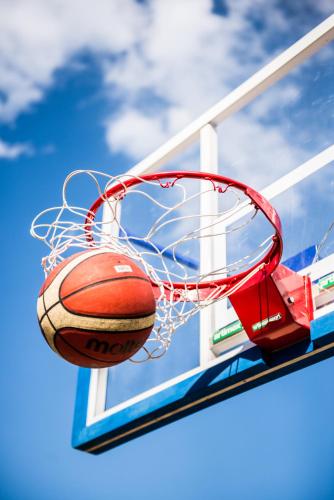 a basketball hoop with a ball in the net at Pensiunea Orizont in Poiana Brasov