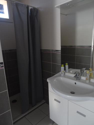 uma casa de banho com um lavatório e um chuveiro em Au pied du Pertuiset em Drumettaz-Clarafond