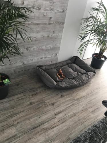 a dog bed on the floor in a room with plants at Jeannette in Balingen