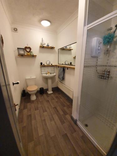 a bathroom with a shower and a toilet and a sink at The Annex Dymchurch in Dymchurch