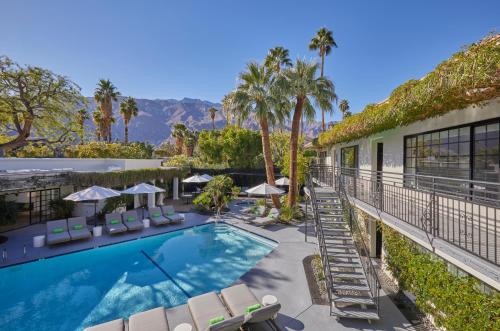 a swimming pool with chaise lounge chairs and palm trees at Descanso Resort, A Men's Resort in Palm Springs