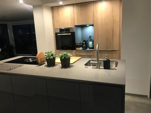 a kitchen with a counter with two plants on it at Moderne Unterkunft mit Panoramablick auf Thunersee in Krattigen