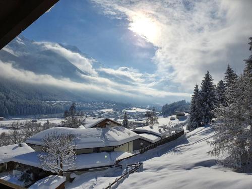 a winter view of a house in the snow at Haus Wohleb in Fulpmes