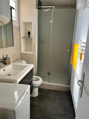 une salle de bain avec une douche, des toilettes et un lavabo dans l'établissement Chez Alix et Jo Superbe T3 au bord de l’Océan, à Lacanau