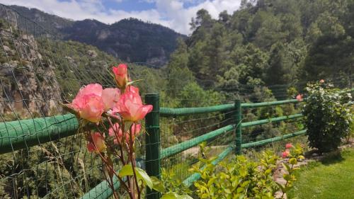 a fence with pink flowers in front of a valley at Mas De Rogelio in Beceite