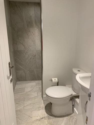 a bathroom with a toilet and a sink and a shower at Thistledown Lodge! 5 minutes from beach! Free cancellation! in Haverfordwest