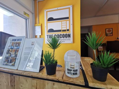 a counter with potted plants and a sign that reads the room at The Cocoon Capsule Hotel in Cameron Highlands