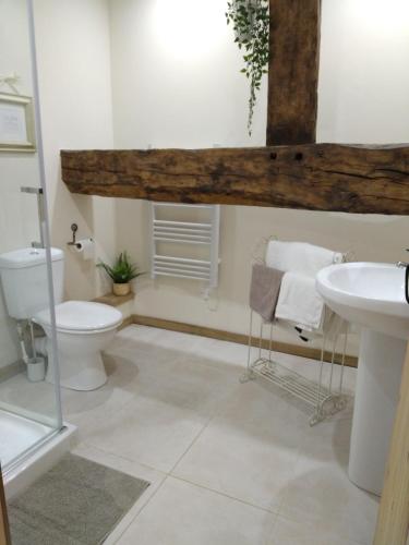 a bathroom with a toilet and a sink at La Grange in Saint-Calais-du-Désert