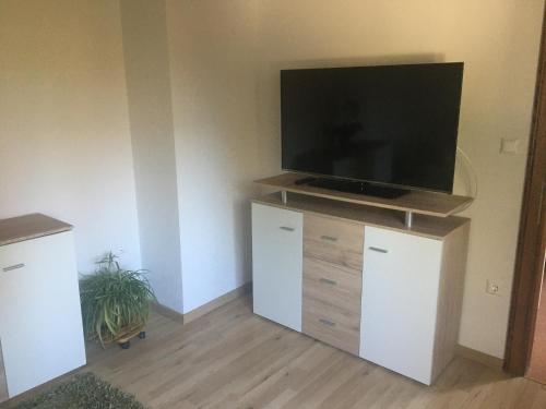 TV in/ali zabaviščno središče v nastanitvi Apartment Peterl