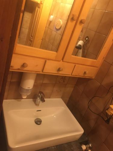 a bathroom with a sink and a mirror at Apartment Peterl in Alpl