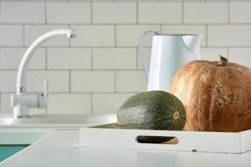 une citrouille et un melon sur un comptoir dans une cuisine dans l'établissement Casa Polivios, à Adamas