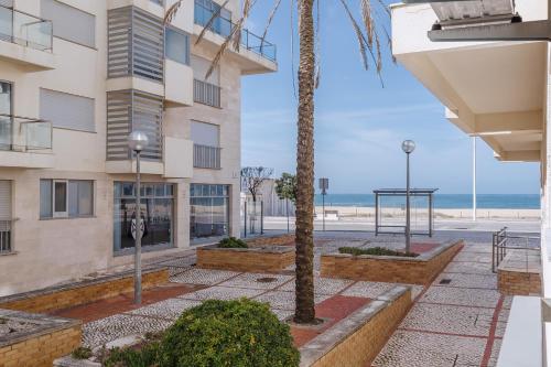 a building with a palm tree next to the beach at Refúgio Villa Mar in Nazaré