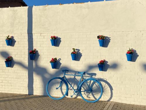 a bike parked next to a wall with potted plants at Casa Abuela Nila in Cogeces de Iscar